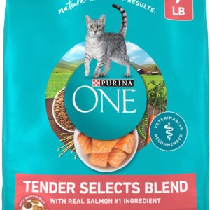 Purina ONE Natural Dry Cat Food, Tender Selects Blend With Real Salmon - 7 lb. Bag